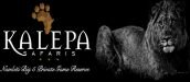 Kalepa Safari's 