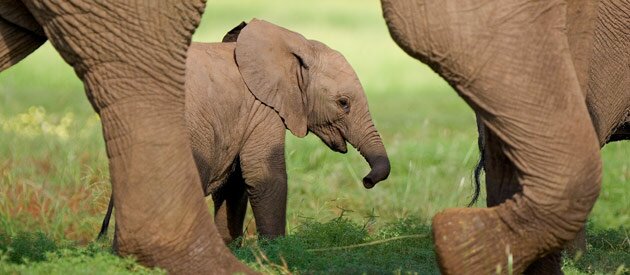 Valley of a 1000 Hills
